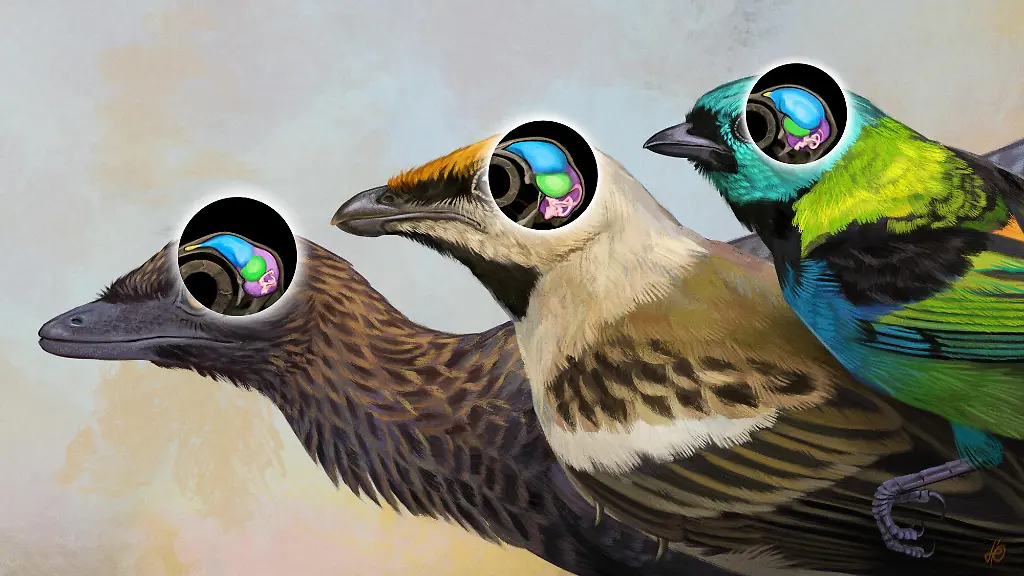 ACHTUNG-Frei-nur-zur-redaktionellen-Verwendung-im-Zusammenhang-mit-der-Berichterstattung-ueber-die-Studie