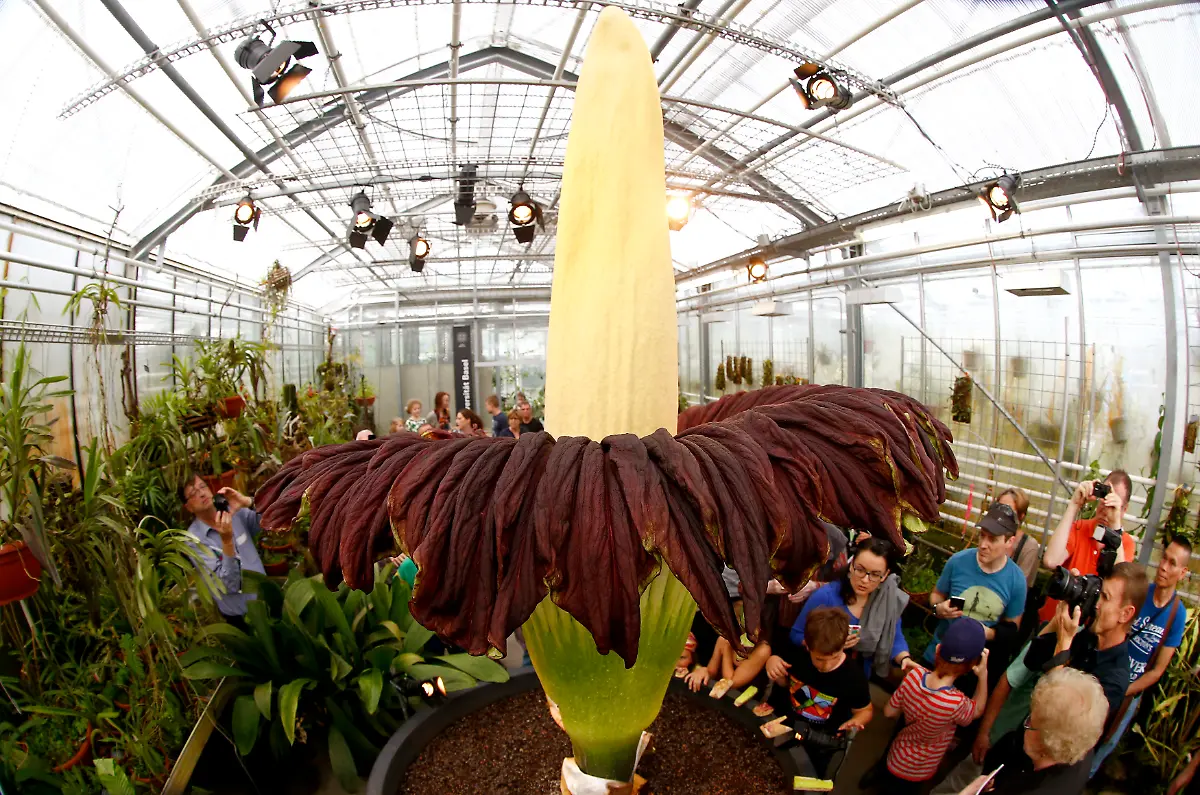 2014-09-29T000000Z-713819615-BM2EA9T19AU01-RTRMADP-3-SWITZERLAND-ENVIRONMENT