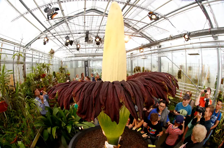 2014-09-29T000000Z-713819615-BM2EA9T19AU01-RTRMADP-3-SWITZERLAND-ENVIRONMENT