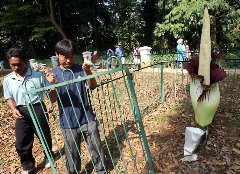 2006-07-08T120000Z-2035861724-PBEAHUNLICV-RTRMADP-3-TITAN-ARUM