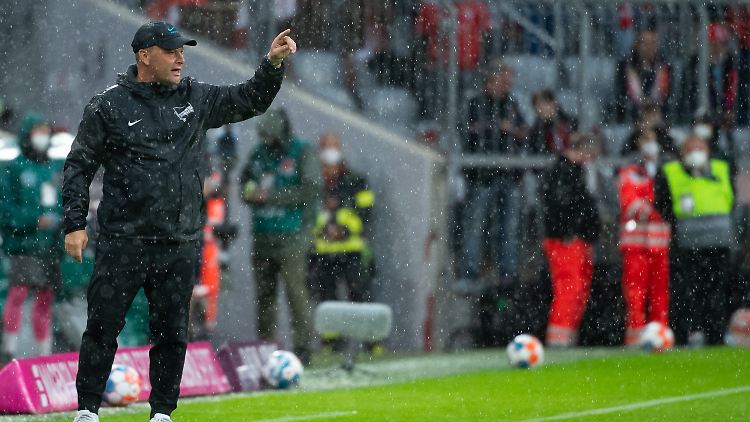 Pal Dardai wurde von seiner Mannschaft im Regen stehen gelassen.