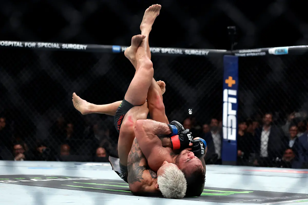 8cbb669d0649092413ad99600b0c4b6b