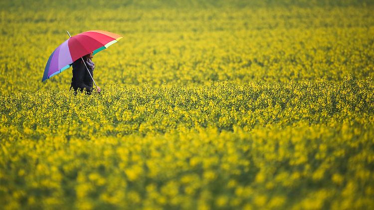 Der Regenschirm war in diesem Sommer öfter mal ein nützlicher Begleiter.