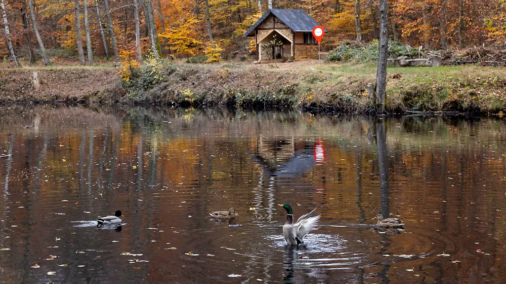 Auch-hier-am-Stuhlberg-Weiher-im-Taunus-bei-Oberursel-wird-in-den-naechsten-Tagen-Regen-erwartet