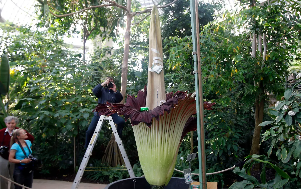 2011-05-15T120000Z-1880768819-GM1E75G0DH501-RTRMADP-3-GERMANY