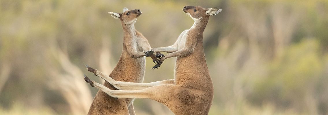 Lea-Scaddan_Missed_00001370 copy.jpg