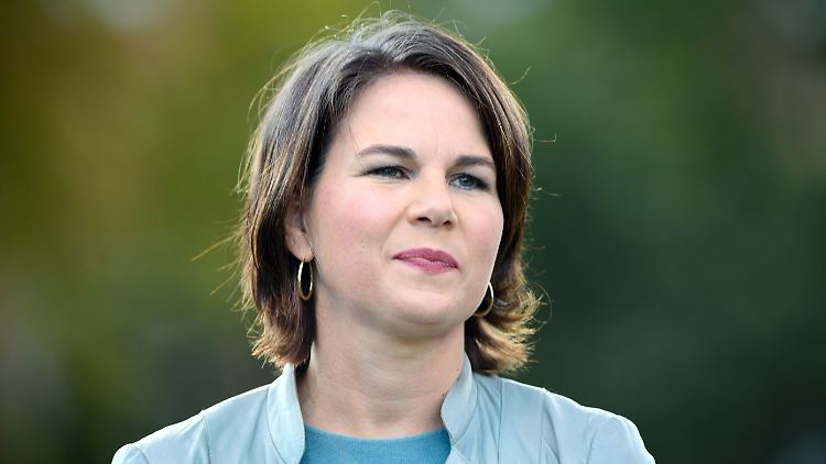 Annalena Baerbock sieht bei Steuerbetrug ein "dickes Problem" in Deutschland.