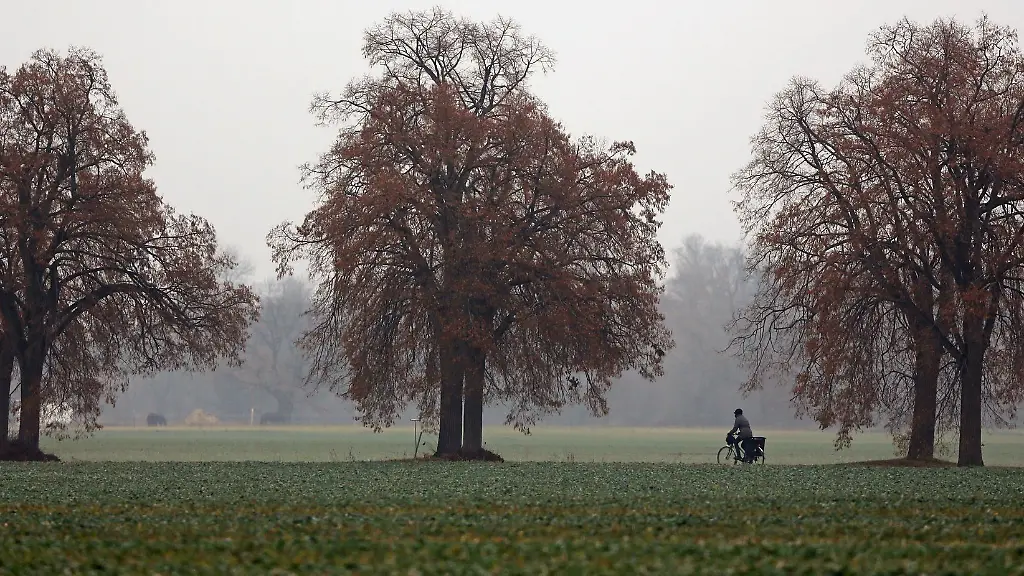 Herbstlich-grau-startet-das-Wochenende-in-Sachsen-Am-Sonntag-beginnt-es-zu-regnen-und-im-Bergland-schneit-es