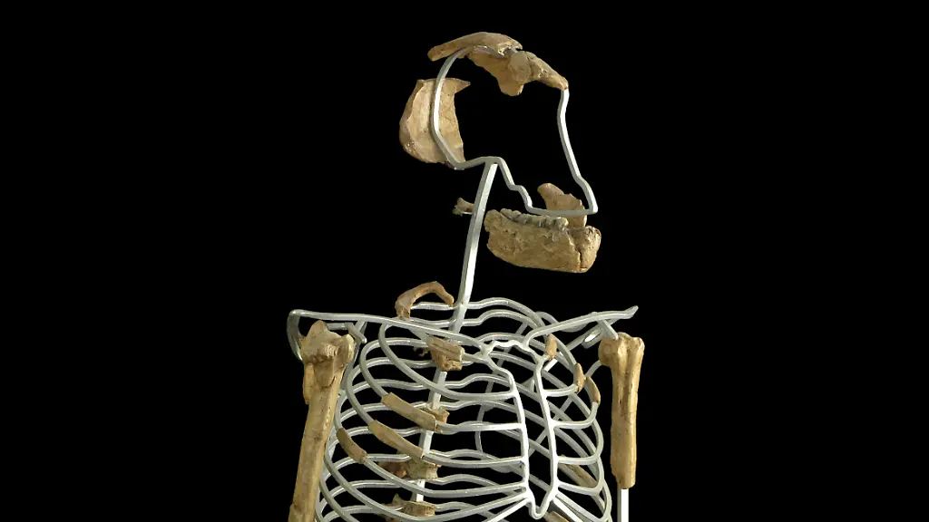 urn-binary-dpa-com-20090101-241107-99-963539-FILED