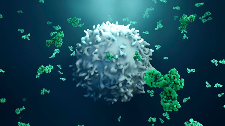 Neutralisierende Antikörper können die Ausbreitung des Virus im Körper verhindern - nur einer von verschiedenen Ansätzen gegen Covid-19.