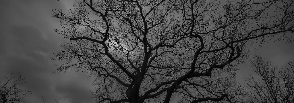 Bild zum Thema Dunkelflaute