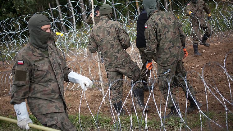 Polnische Soldaten bringen Stacheldrahtzaun an der Grenze zu Belarus an.