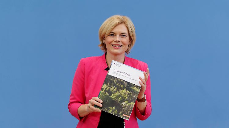 Julia Klöckner und ihr Plan für den deutschen Wald.