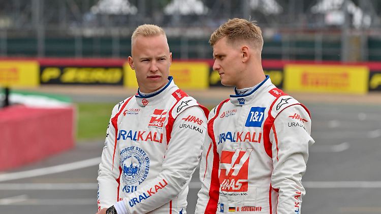 In diesem Team geht es nicht kollegial zu.
