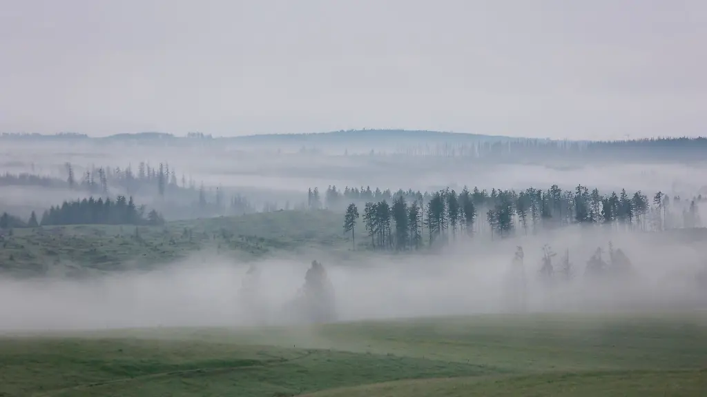 Wolken-Regen-und-Nebel-dominieren-die-naechsten-Tage-in-Sachsen-Anhalt