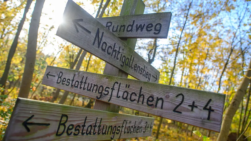 Im-Friedwald-ist-kein-Grabschmuck-zugelassen