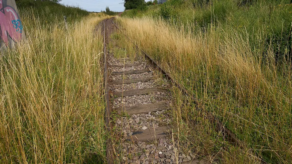 Auch-im-Saarland-kann-es-sich-lohnen-einige-stillgelegte-Bahnstrecken-wiederzubeleben