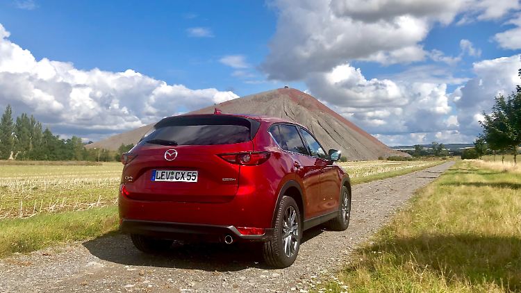 Der 2,2-Liter-Diesel des Mazda CX-5 mit seinen 184 PS lädt vor allem auf die Langstrecke ein.