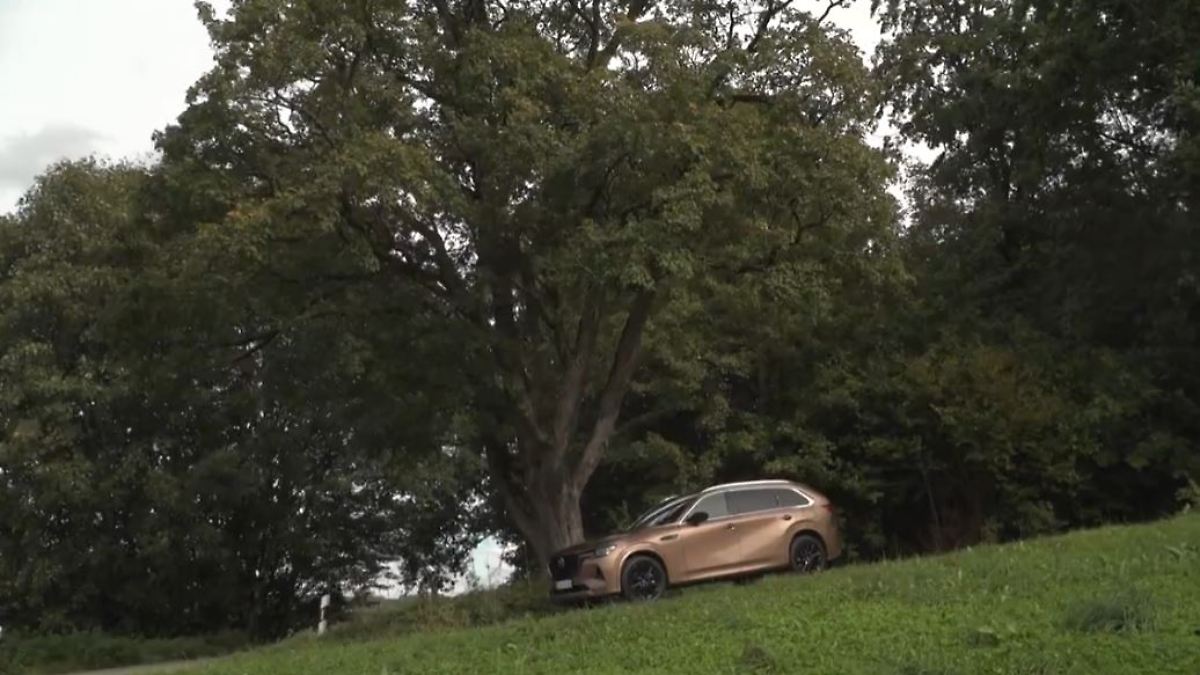 Top in Preis und Verbrauch: SUV oder Van: Mazda CX-80 - eine neue ...