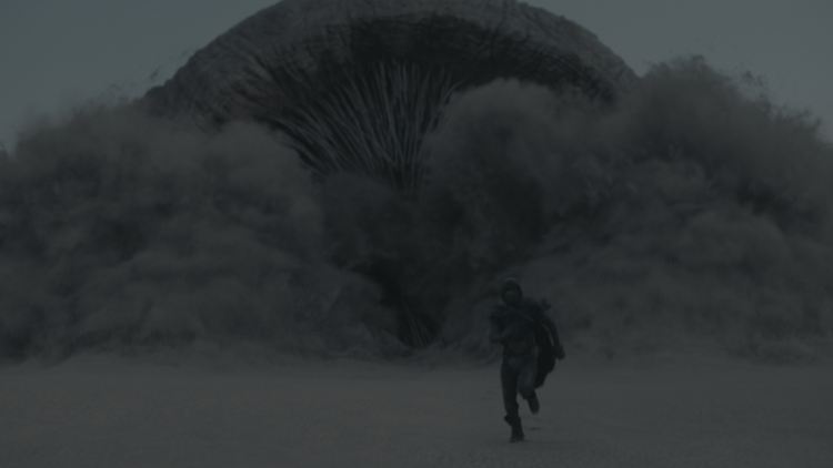 So einem Sandwurm will man nicht unbedingt begegnen.