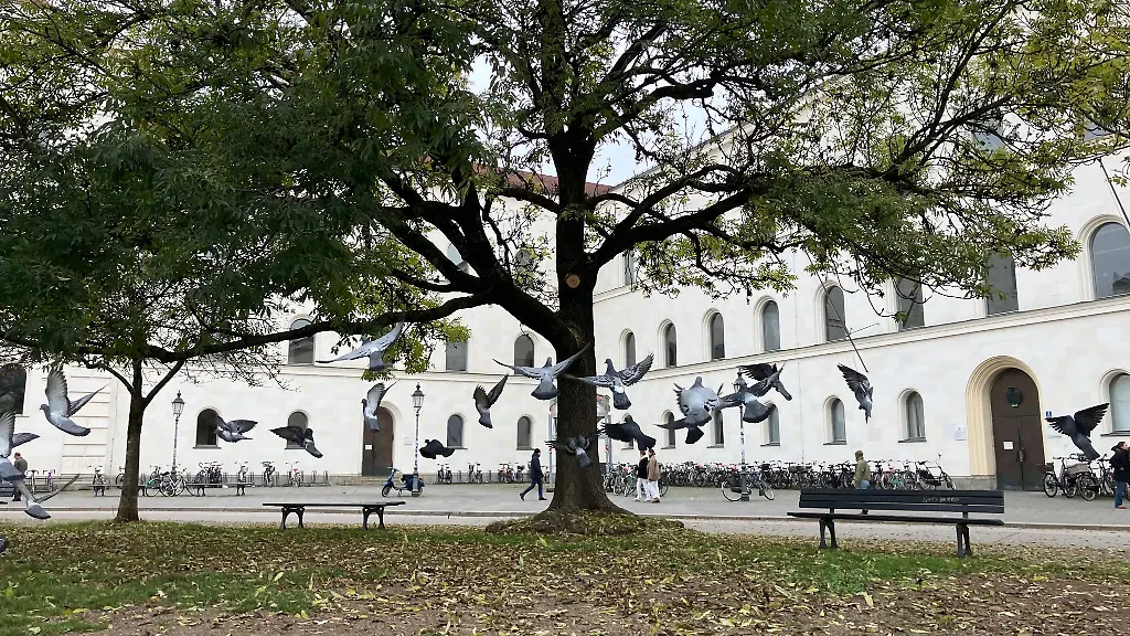Die-Organisatoren-des-propalaestinensischen-Protestcamps-vor-der-Muenchner-Uni-haben-ihre-Zelte-abgebrochen