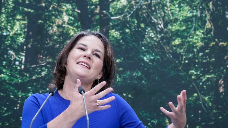 Grünen-Chefin Baerbock möchte eine "Klimaregierung" anführen.