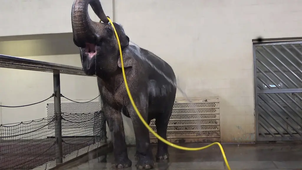 ACHTUNG-Nur-zur-redaktionellen-Verwendung-im-Zusammenhang-mit-der-aktuellen-Berichterstattung