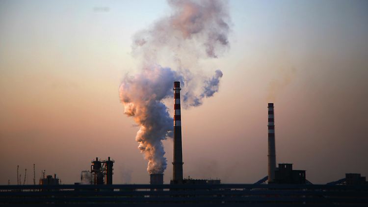 Deutschland soll anderen Ländern helfen, ihre Emissionen zu senken - mit Milliardenzahlungen, fordert der WWF.