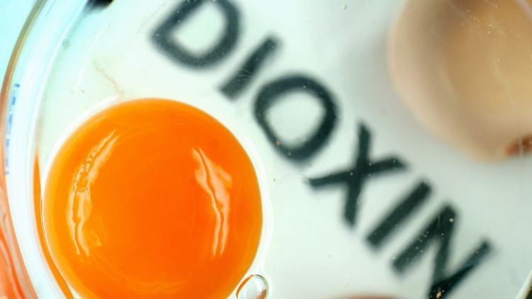 Vor allem im fettigen Eigelb lagern sich Dioxine ein.