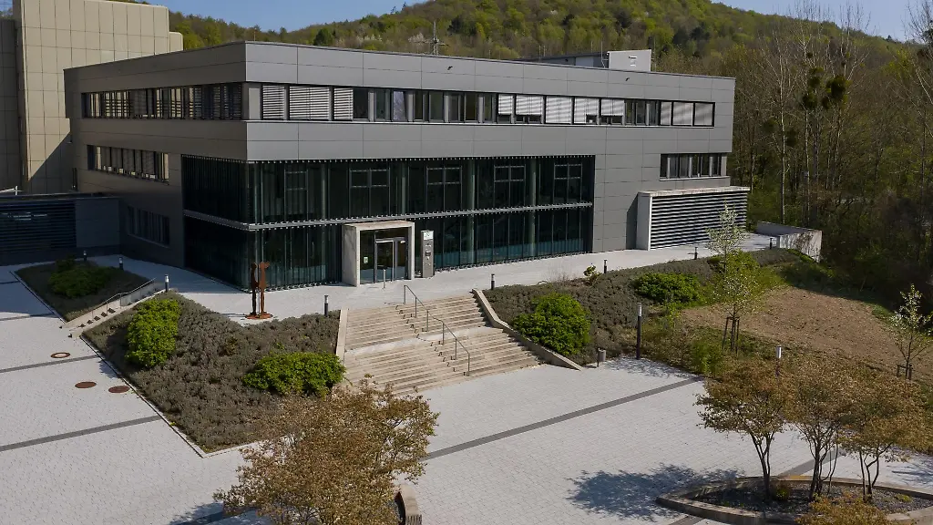 In-Goettingen-wird-im-Deutschen-Primatenzentrum-an-Affen-geforscht