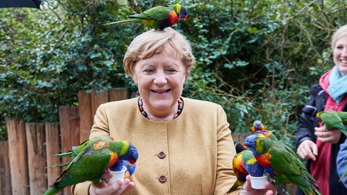 Die Lori-Papageien fraßen Merkel aus der Hand.