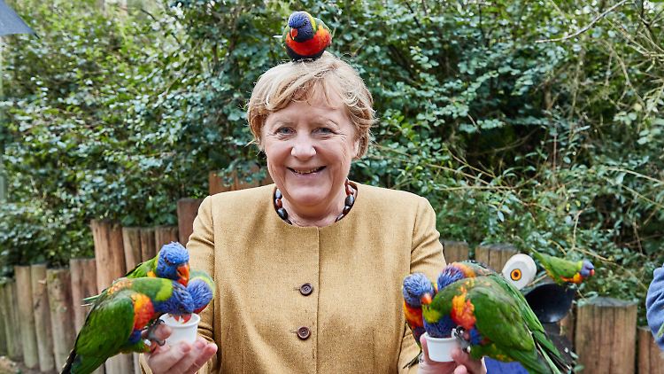 Beliebt auch bei Vögeln: Kanzlerin Merkel.