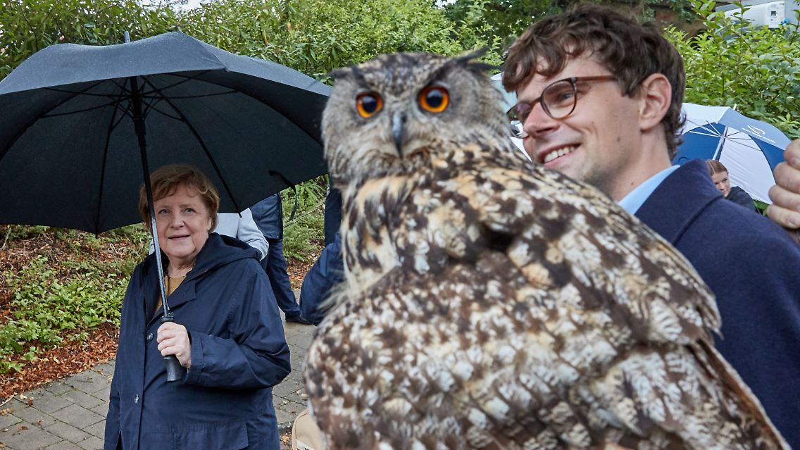 Respektvoller Abstand: Merkel und der Uhu.