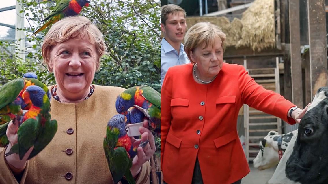 MerkelTiere.jpg