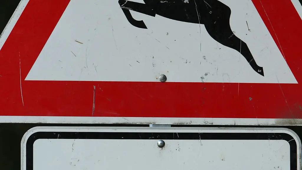 Wegsperrungen-im-Wald-wegen-Gesellschaftsjagden