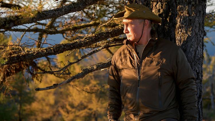 Schaut nachdenklich in die Ferne: Russlands Präsident Putin im Urlaub. 