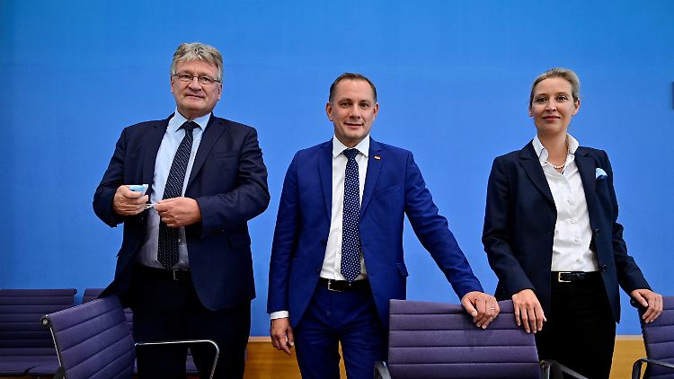Die Parteichefs Meuten (links) und Chrupalla bei ihrem gemeinsamen Auftritt mit Co-Fraktionschefin Weidel.