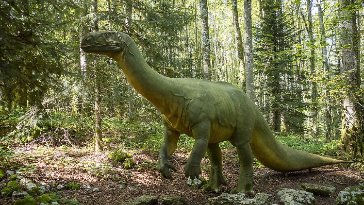 Das lebensgroße Modell eines Prosauropoden steht im Préhisto-Parc in Réclère.