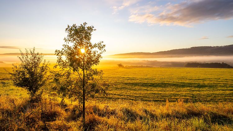 Das Temperaturmittel im Herbst 2024 lag mit 10,5 Grad um 1,7 Grad über dem Wert der international gültigen Referenzperiode. 