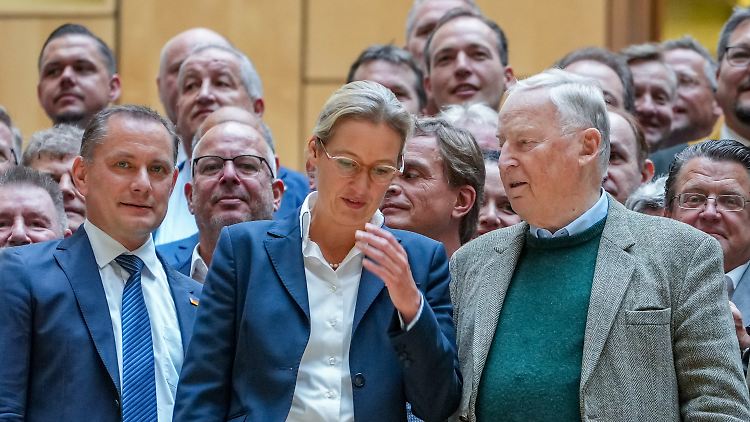 Alice Weidel möchte Fraktionsvorsitzende bleiben, Gauland wird definitiv aufhören.