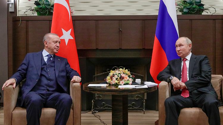 Putin und Erdogan wollen ihre Kooperationen im Rüstungsbereich ausweiten. 