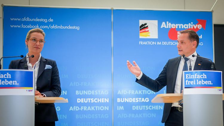 Machtprobe überstanden: Die neuen AfD-Fraktionschefs Weidel und Chrupalla.