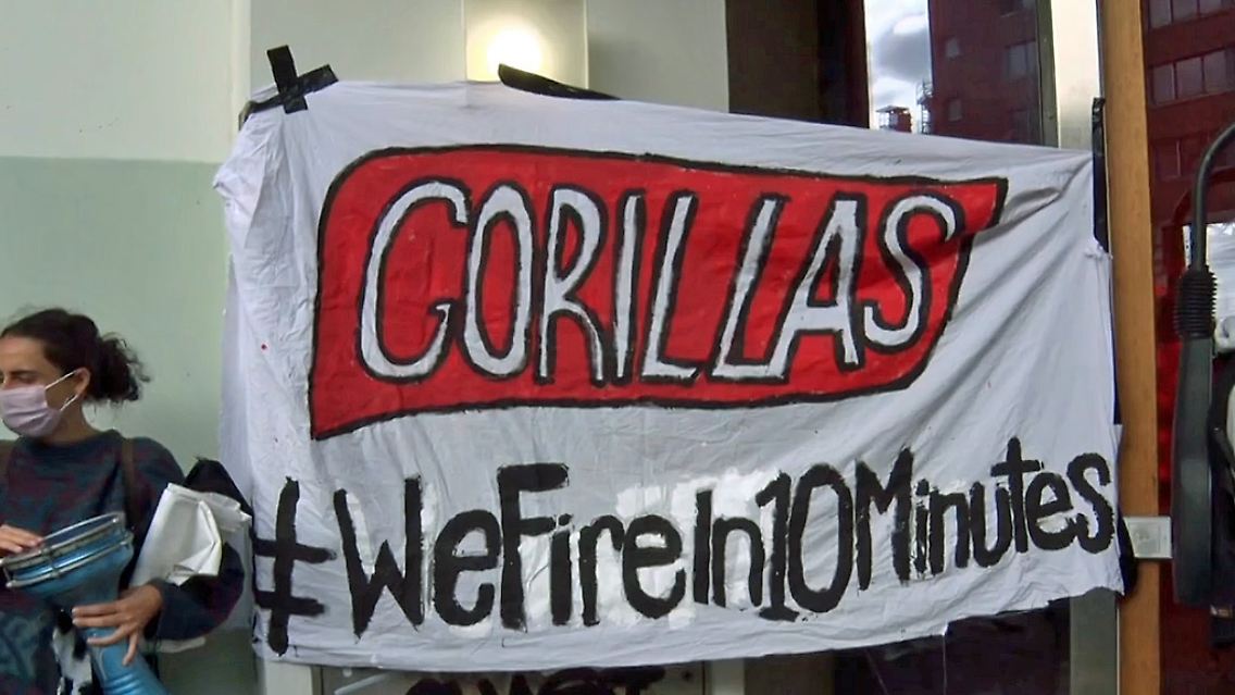 gorillas.jpg