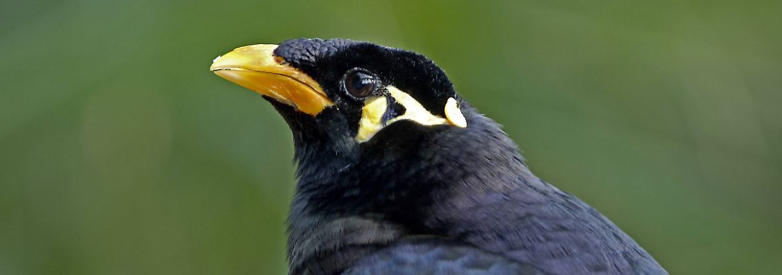 imago0051095383h.jpg