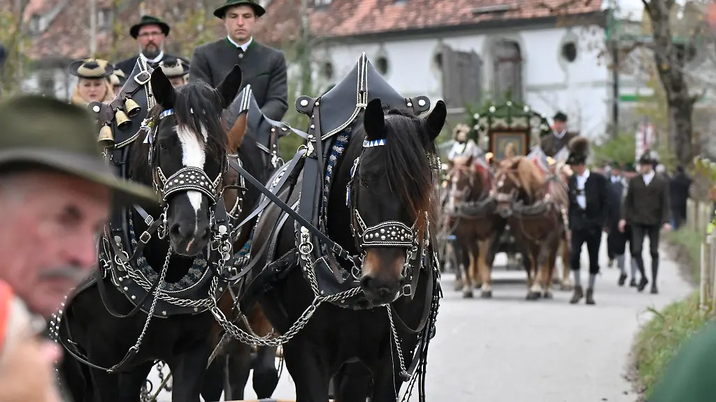 Dutzende-Reiter-Musikkapellen-und-knapp-50-festlich-geschmueckte-Pferdegespanne-zogen-am-Vormittag-durch-den-Ort