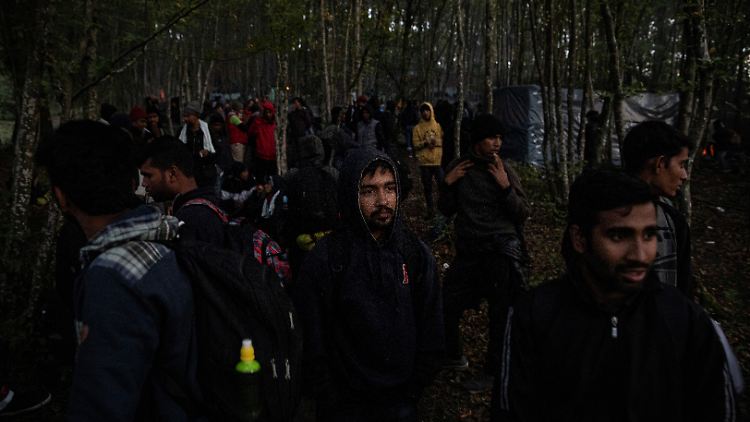 Migranten sammeln sich in einem Wald an der kroatischen Grenze, um in die EU zu gelangen.