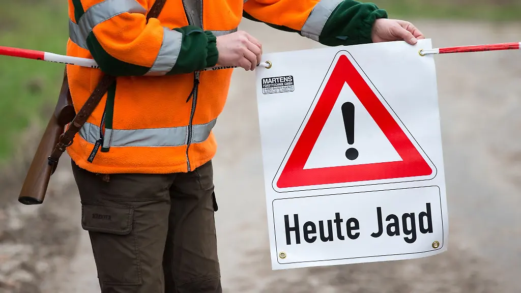 Mit-41-611-Wildschweinen-wurden-im-vergangenen-Jagdjahr-in-NRW-rund-40-Prozent-mehr-erlegt-als-im-Vorjahr