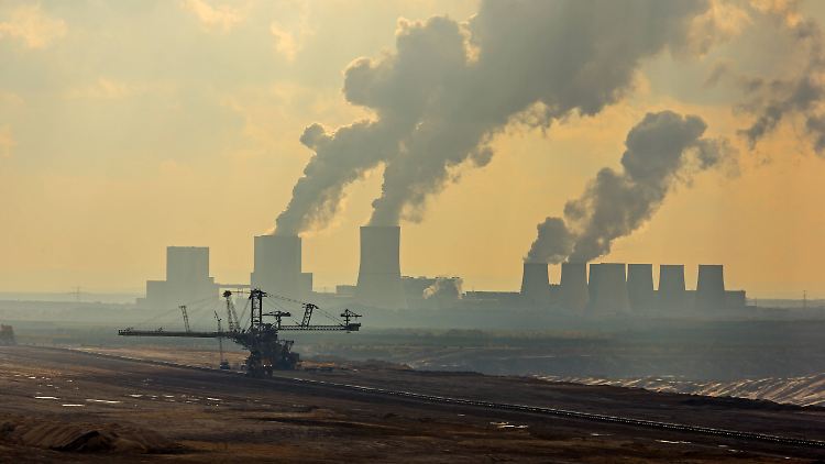 RWE-Chef Krebber will auf Gas setzen, aber in zehn Jahren keine Diskussion um den fossilen Brennstoff haben.
