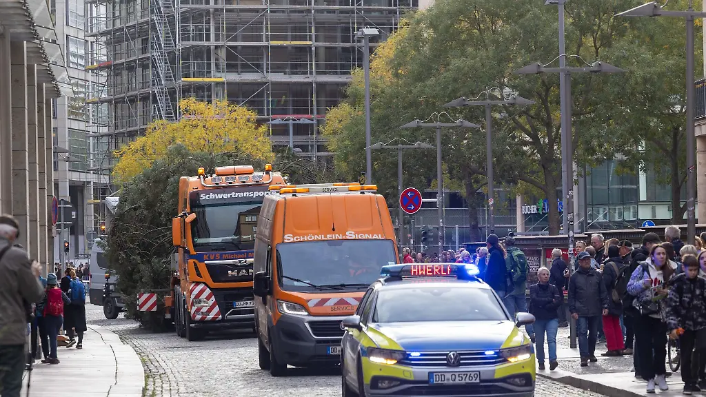 Da-kommt-er-per-Tieflader-Am-Sonnabend-wurde-der-Tannenbaum-fuer-den-diesjaehrigen-Dresdner-Striezelmarkt-angeliefert