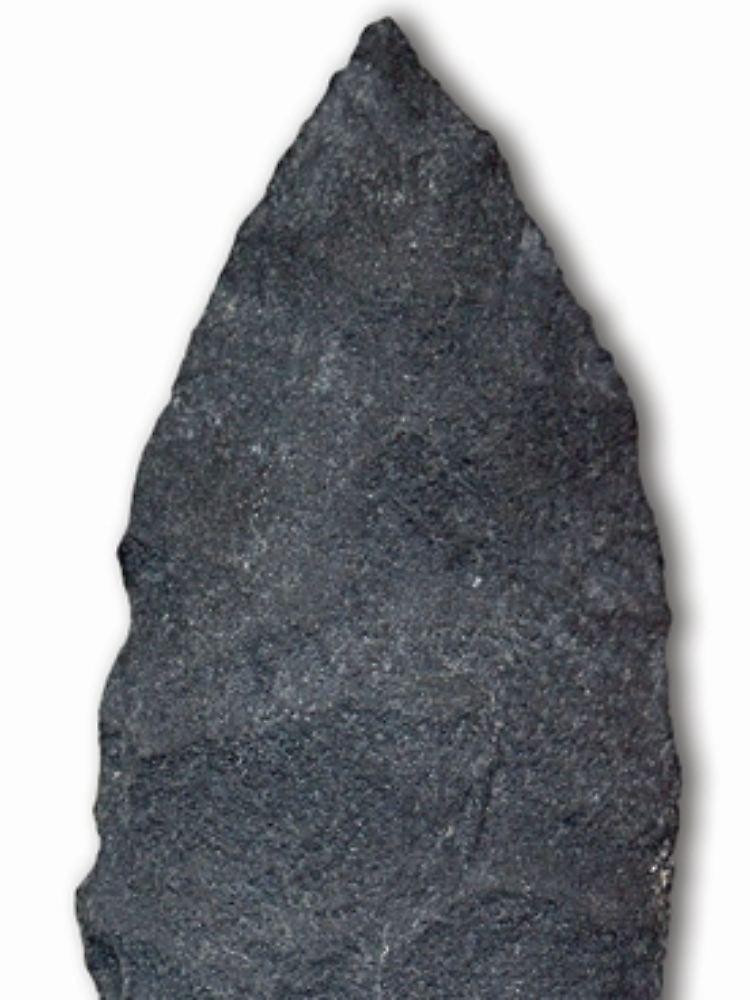 Auch Werkzeuge wurden bei der Grabung in Utah gefunden.